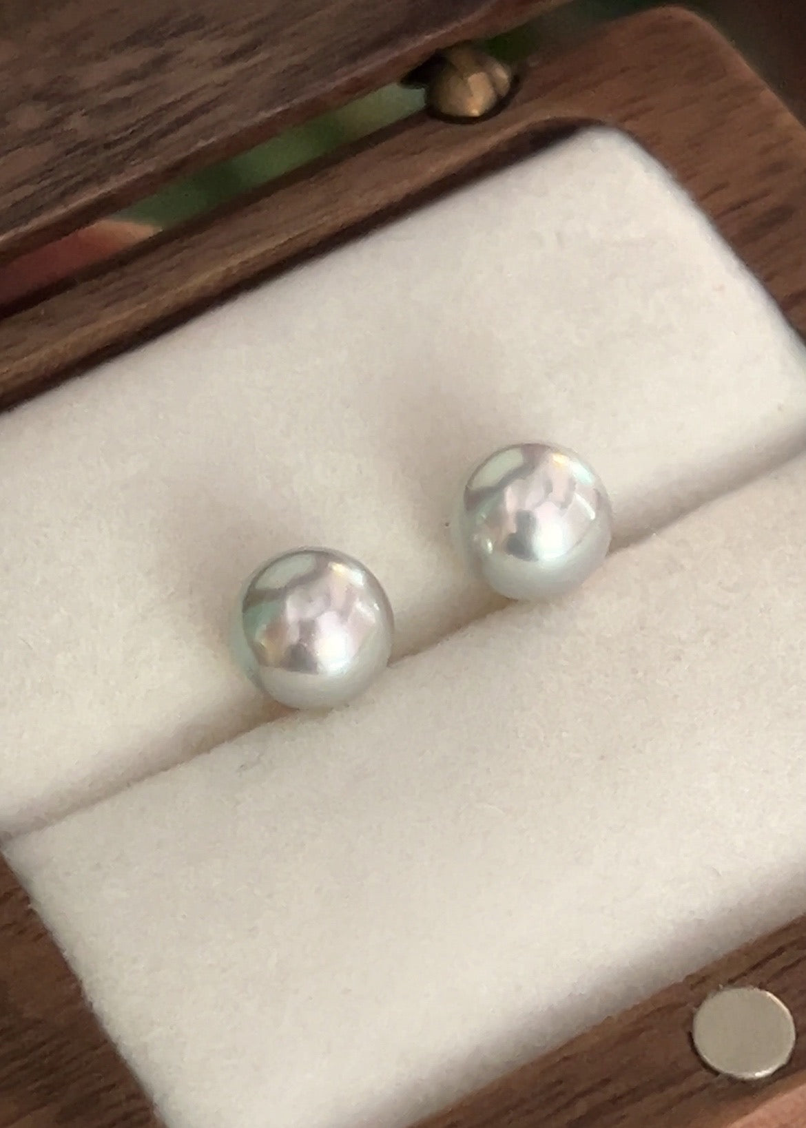 18K Silver-Blue Japanese Akoya Madama Pearl Stud Earrings (Solid Gold)